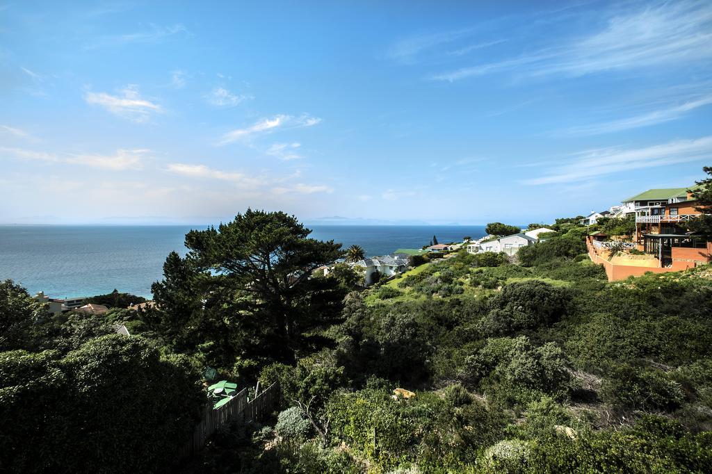 Penguinden - Load-Shedding Free Hotel Simon's Town Luaran gambar